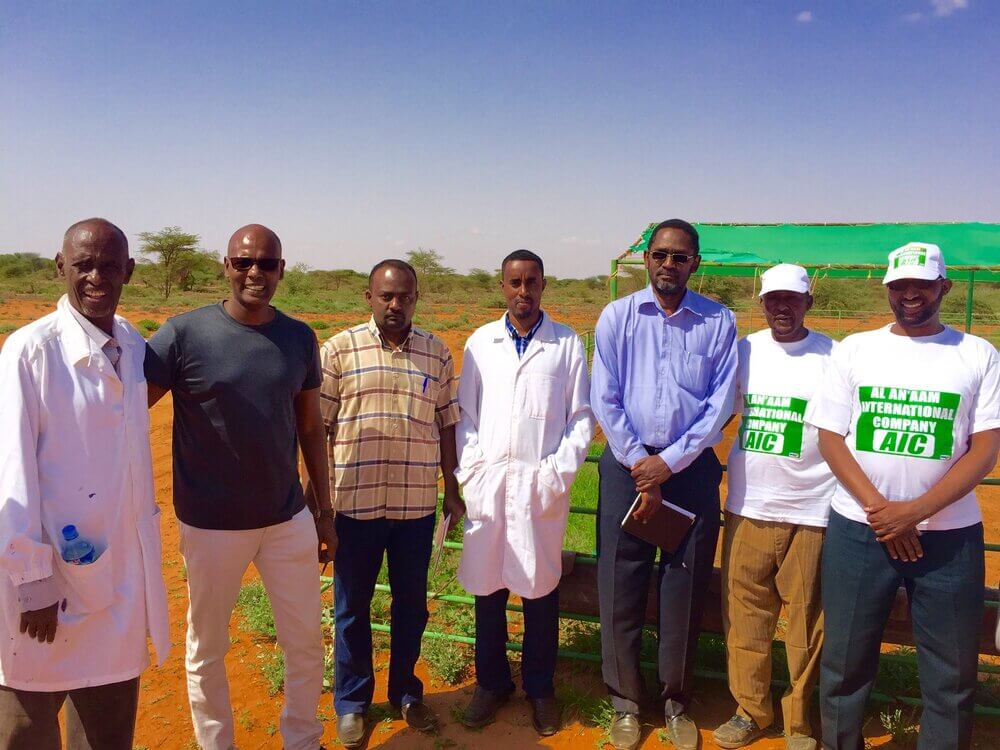Supporting agriculture will ensure our food security